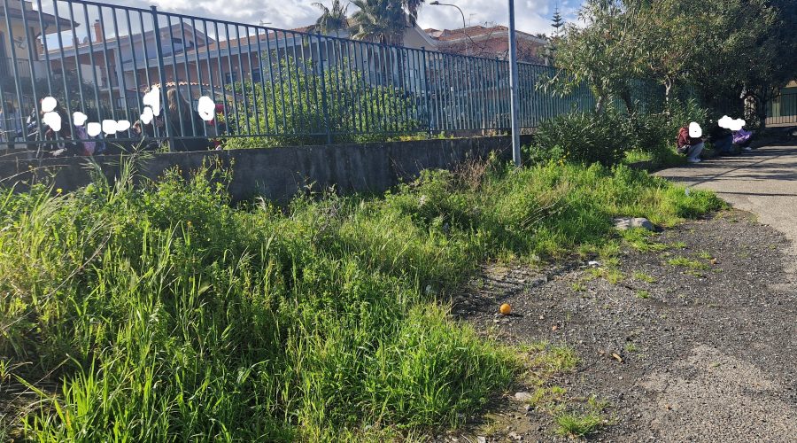Giarre – Aiuole incolte plesso Sciacca 02