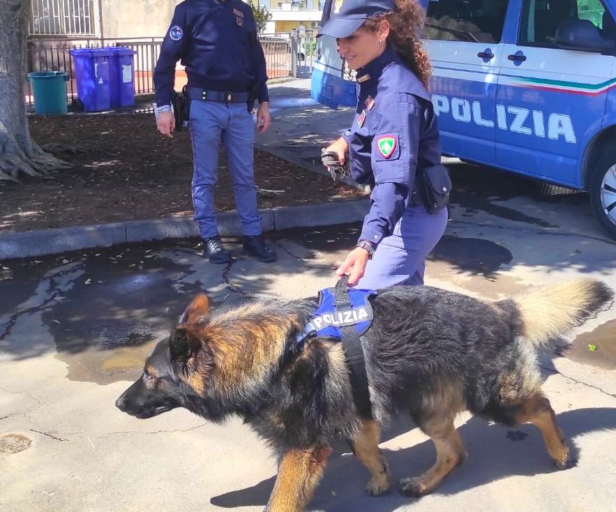 Marijuana e hashish in macchina: arrestato 27enne