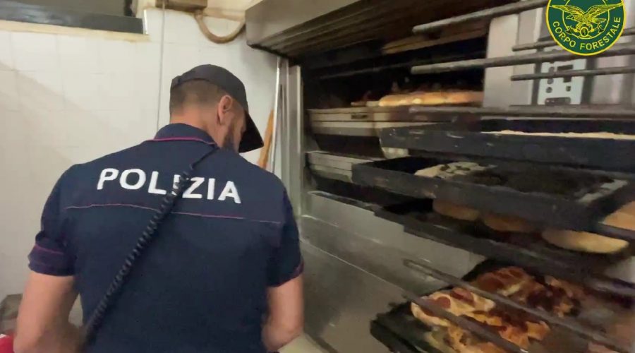 Alimenti non tracciati, irregolarità amministrative e veranda abusiva: sanzionate 2 attività commerciali per 24.000 euro