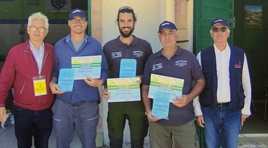 Realmonte: ottimi risultati per la 12ª edizione del Campionato di potatura dell’olivo a vaso policonico. Luca Ventura di Francavilla ha ottenuto il primo posto
