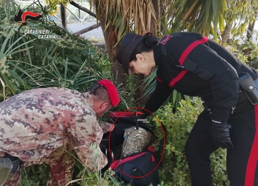 Controlli e perquisizioni tra Giarre e Riposto: arrestato un 38enne giarrese ed un 51enne catanese. Sequestrati quasi 5 kg di droga