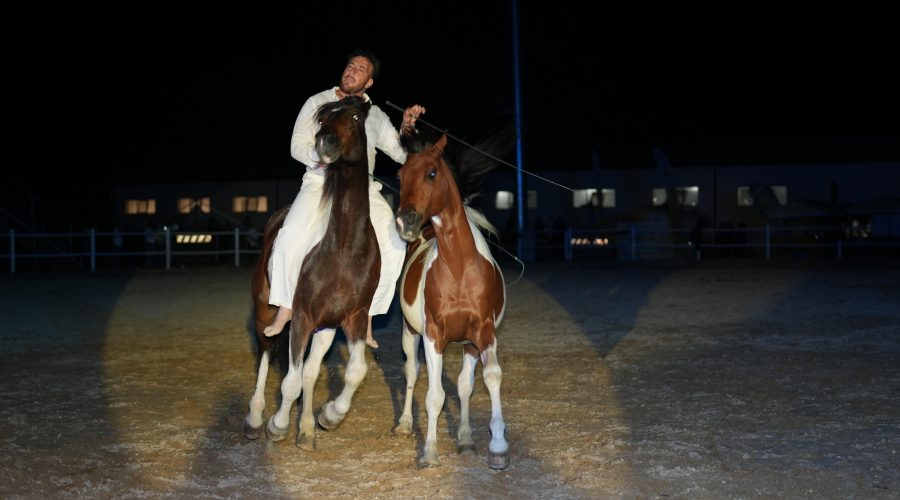 Si chiude tra gli applausi alla Tenuta Ambelia la 7ª Fiera Mediterranea del Cavallo