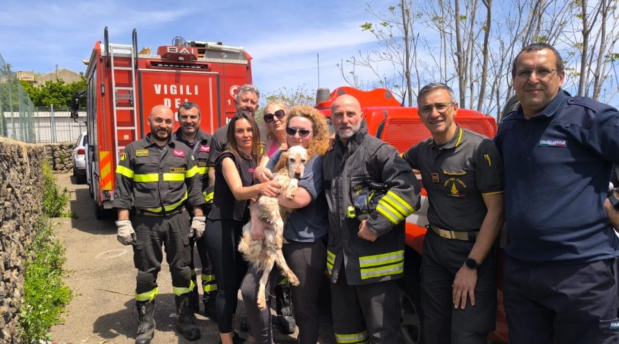 Piedimonte Etneo: vigili del fuoco e polizia municipale salvano un cagnolino caduto in un burrone
