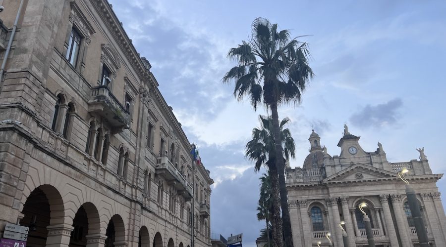 Riposto, 50 mila euro dalla Regione Siciliana per la rigenerazione del verde urbano.