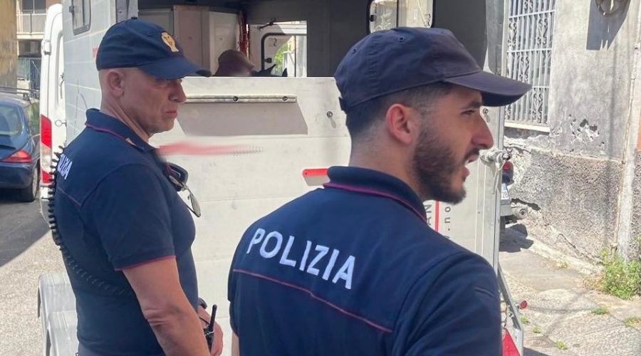 Scoperti e sequestrati tre pony nascosti all’interno di un immobile pericolante VIDEO