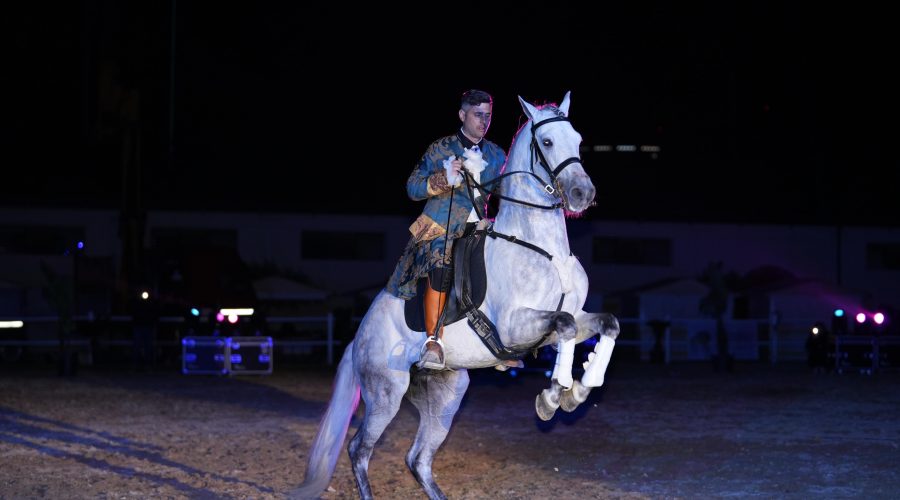 gala_equestre