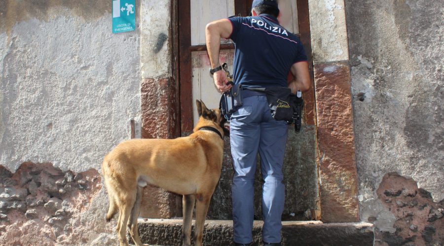 In casa con droga e con una bomba carta: 18enne arrestato