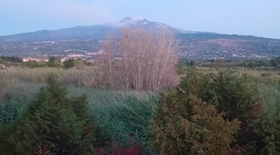 La forza della poesia
