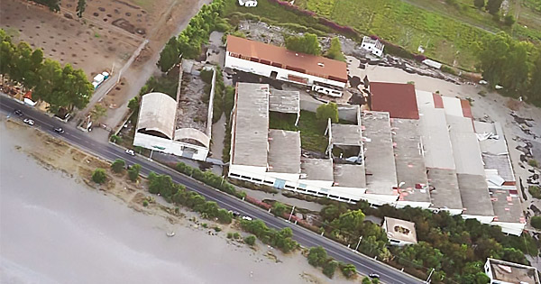 Fascia boschiva jonica ed ex Siace: le associazioni ambientaliste chiedono un tavolo di confronto