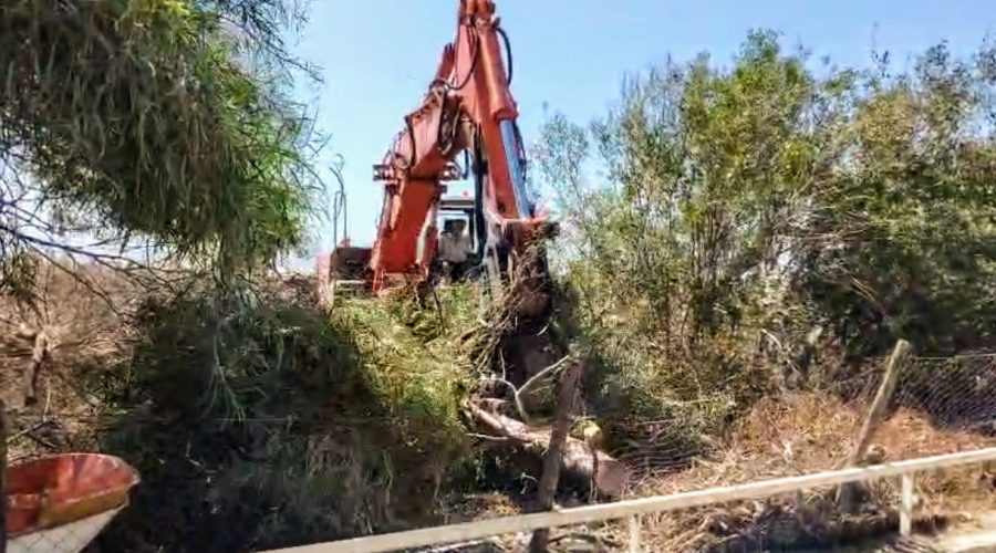 Mascali, al via la bonifica della fascia boschiva costiera: si parte da Sant’Anna