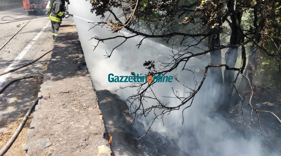 Giarre, incendio di rifiuti e sterpaglie a Miscarello: vigili del fuoco in azione