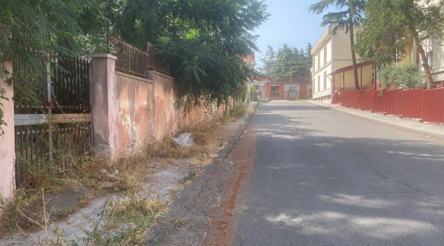 Giarre, marciapiedi trasformati in boschi: erbacce, rovi e aree comunali nel degrado