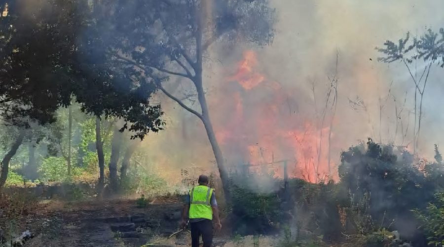 Giarre, fiamme nel parco. Il Wwf ai cittadini: «Proteggiamo quest’area protetta»