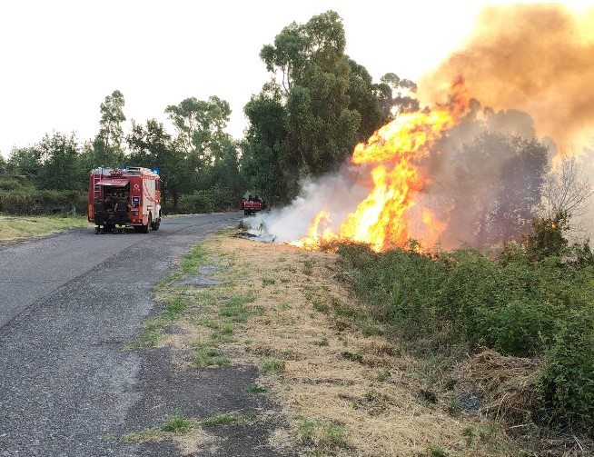 Incendio a Piedimonte Etneo: Vigili del Fuoco e Forestale in azione a Monticello