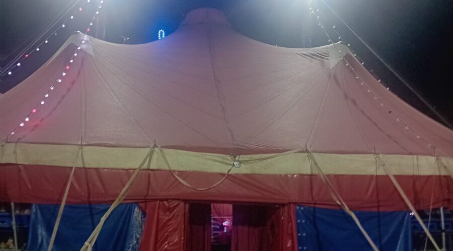 I colori del circo