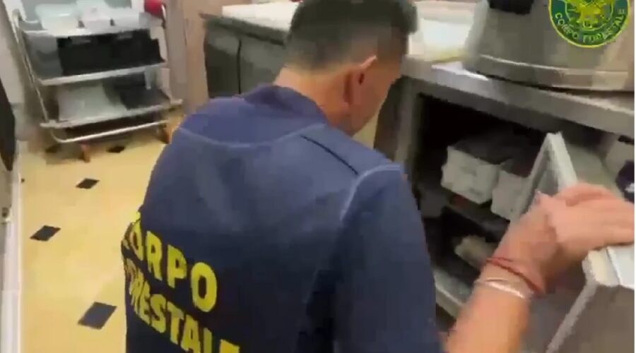 Controlli ad attività di ristorazione: elevate sanzioni per oltre 26.000 euro. Distrutti 15 kg di carne non idonea al consumo umano VD