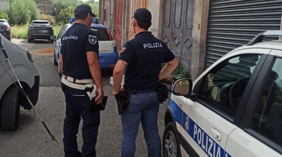 Cani torturati e uccisi, 47enne fermato e denunciato