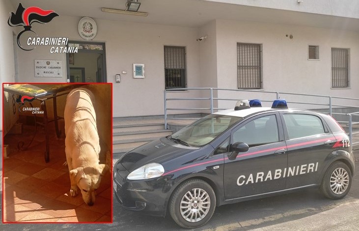 Mascali, lascia il cane sul balcone di casa al sole: denunciato un 50enne