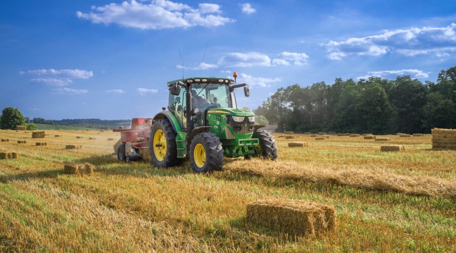 Agricoltura, 167 milioni per la filiera agroalimentare: pubblicate le graduatorie provvisorie. Sammartino: «Risposte rapide alle imprese del settore»