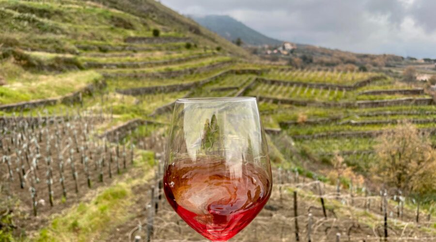 Randazzo: oggi al via “Radici vulcaniche”, il festival dedicato al vino sull’Etna