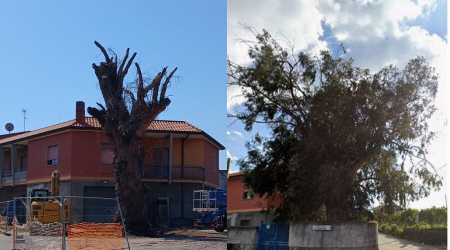L’Abbanazzu non c’è più: ora si restituisca verde ad Altarello