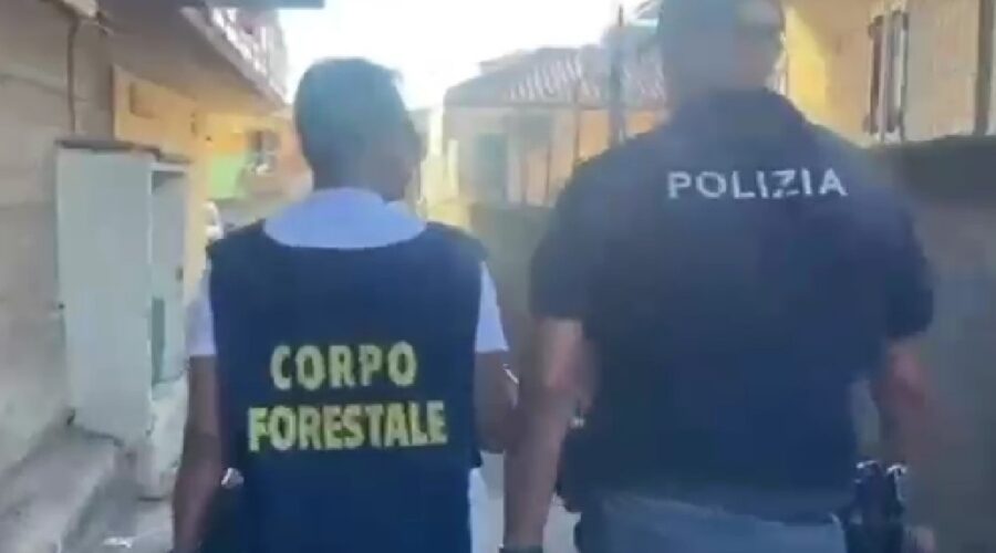 Panificio abusivo nel garage di casa: maxi sequestro e sanzioni per migliaia di euro VIDEO