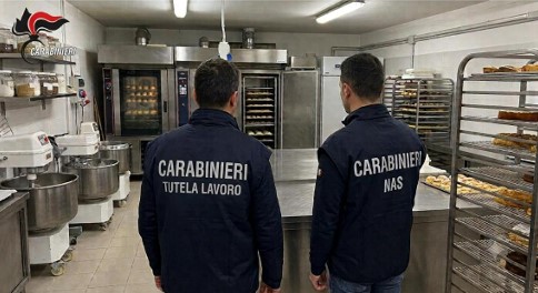 Blatte morte, ragni e muffa nel laboratorio di un noto bar-ristorante-pizzeria: attività sospesa e titolare denunciato
