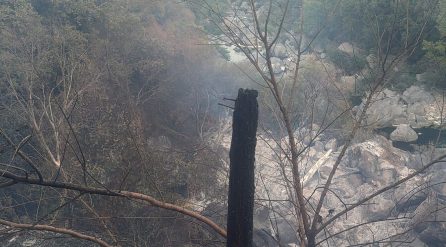 Francavilla, “Gurne dell’Alcantara”: incendio sul sentiero e nuovi fondi per la riqualificazione
