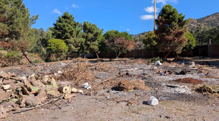 Francavilla, degrado e rischi ambientali tra via Cappuccini, il cimitero monumentale e l’area camper