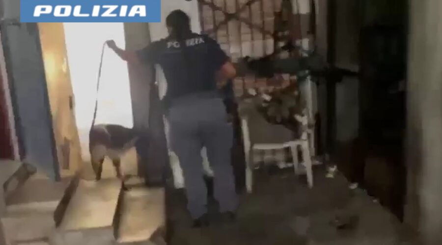 “Zago” fiuta oltre 2 kg di droga in un sottoscala VIDEO