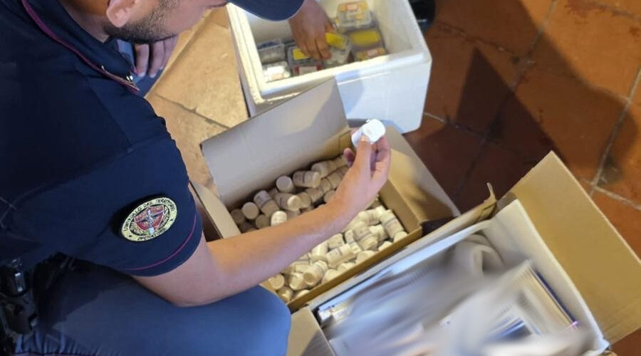 Scoperto un deposito di farmaci e sostanze dopanti: merce per 350 mila euro. Un arresto