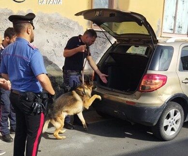 Controlli dei Carabinieri nell’Acese: tre arresti per droga. Irregolarità in un cantiere edile