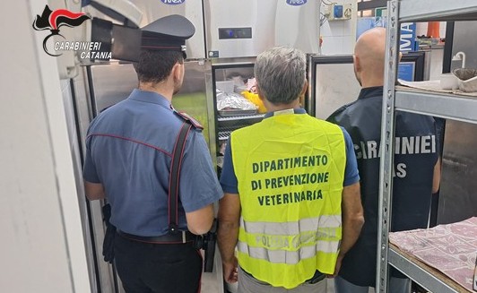 Ispezioni congiunte dei Carabinieri, della Guardia di Finanza e dell’ASP di Catania durante l’Ottobrata: verifiche sulla sicurezza alimentare e sul lavoro