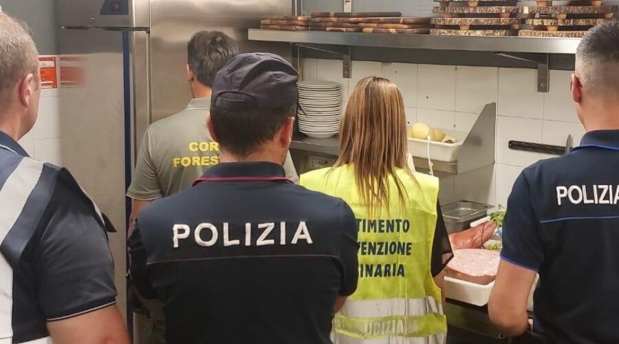 10 lavoratori in nero, alimenti non tracciati e non idonei e furto di energia elettrica: oltre 40.000 di sanzioni ad un’attività di ristorazione. Denunciato il titolare