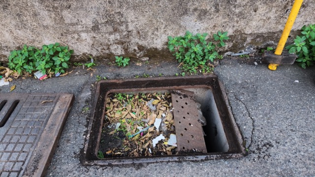 Fiumefreddo di Sicilia, al via la pulizia delle caditoie. Si parte dalle zone più a rischio allagamenti