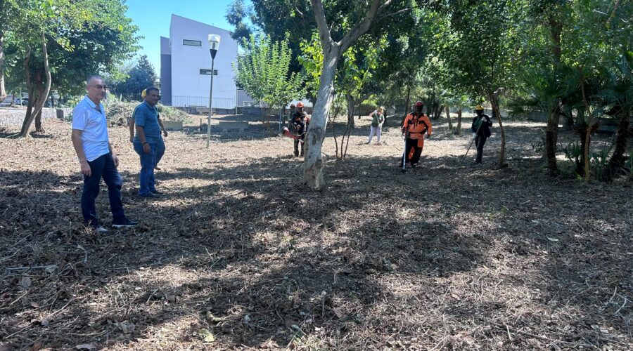Verde pubblico, la Forestale torna a Giarre: bonificate nuove aree del territorio