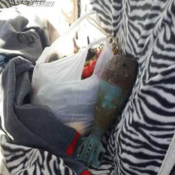 Trova uno strano oggetto nell&rsquo;orto e lo porta a passeggio: era una bomba