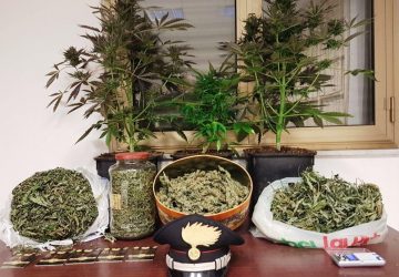 Castiglione: arrestato agricoltore dedito alla coltivazione di marijuana