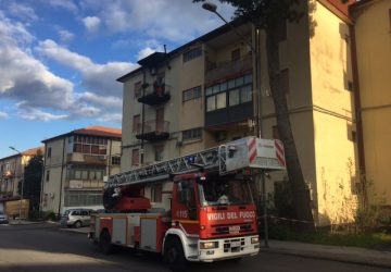 Giarre: ramo rischia di crollare al suolo. Intervento dei vigili del fuoco