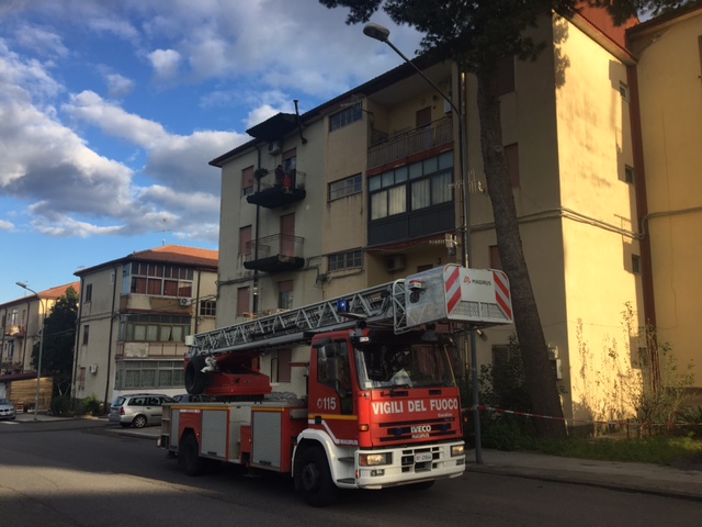 Giarre: ramo rischia di crollare al suolo. Intervento dei vigili del fuoco