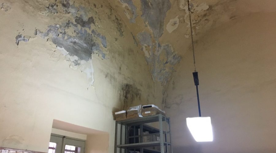 Giarre, Uffici comunali insalubri tra topi blatte e umidità. Dipendenti rassegnati VIDEO