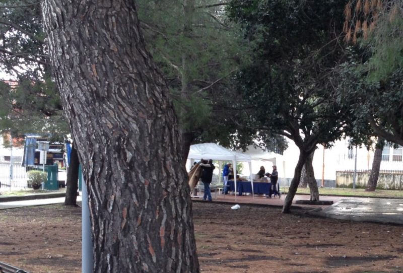 Giarre, allerta meteo: il mercatino del contadino resta aperto. Smontato il circo