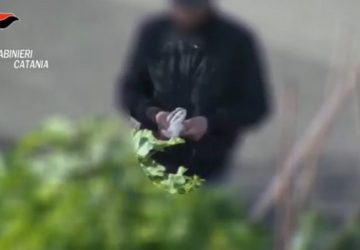 Operazione Bingo, al via interrogatori di garanzia