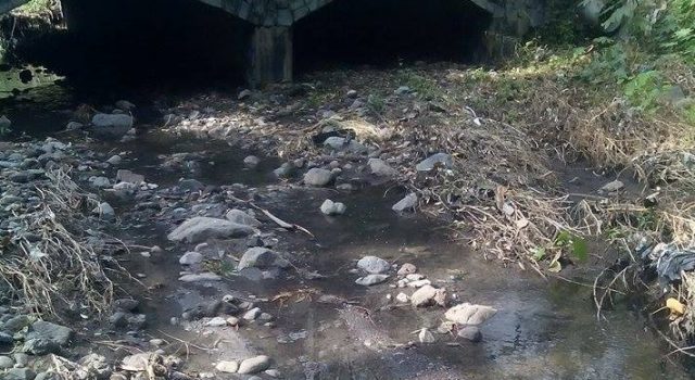 Giarre, scolmatore intasato: reflui fognari nel torrente Macchia. Diffida al sindaco VIDEO FOTO