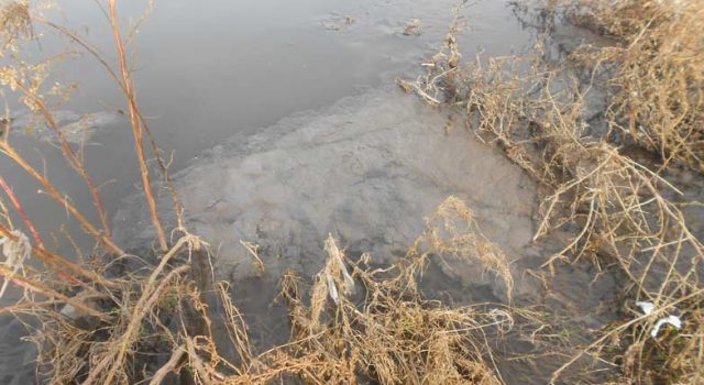 Giarre, scolmatore intasato: reflui fognari nel torrente Macchia. Diffida al sindaco VIDEO FOTO