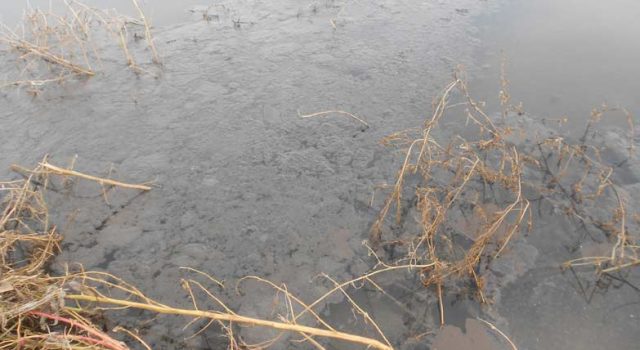Giarre, scolmatore intasato: reflui fognari nel torrente Macchia. Diffida al sindaco VIDEO FOTO
