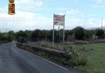 Belpasso, macellazione clandestina di animali: una denuncia VIDEO