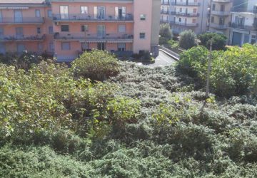 Giarre, parchi chiusi e inagibili.  Un disastro senza precedenti