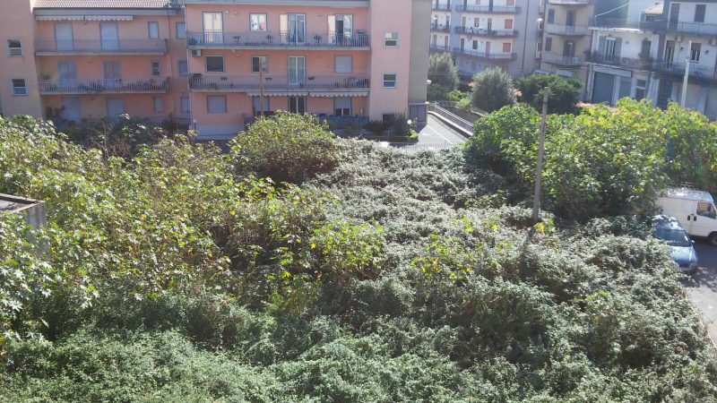 Giarre, parchi chiusi e inagibili.  Un disastro senza precedenti