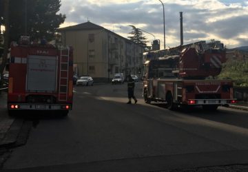 Giarre, quartiere Satellite: vigili del fuoco rimuovono ramo pericolante